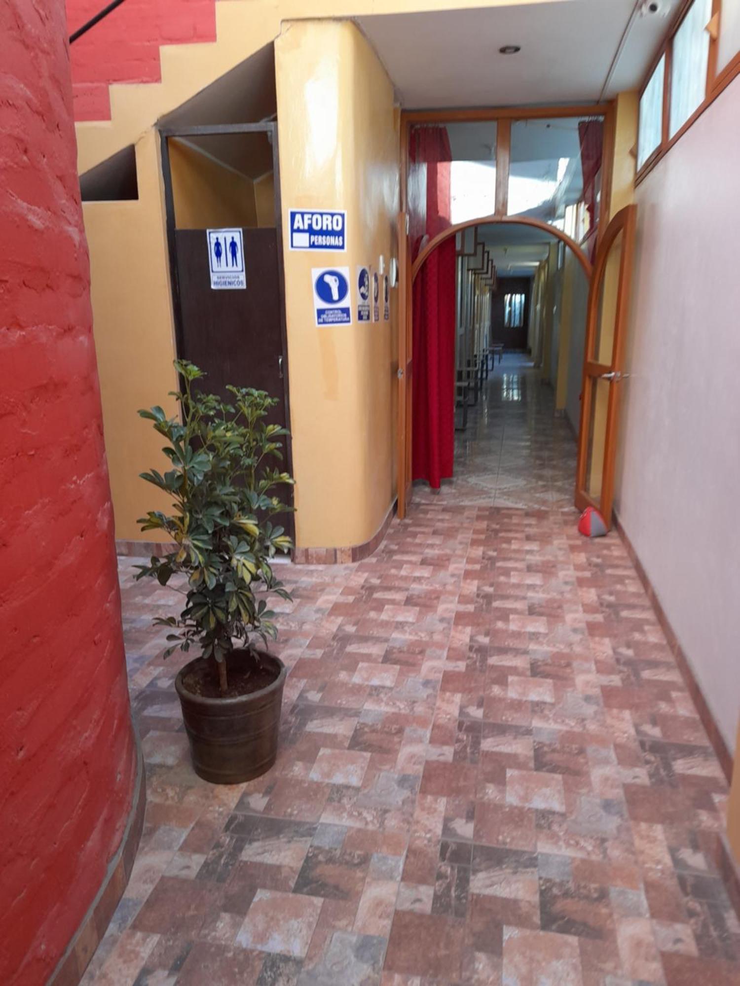 Nasca Trails B&B Наска Экстерьер фото
